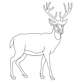 deer single